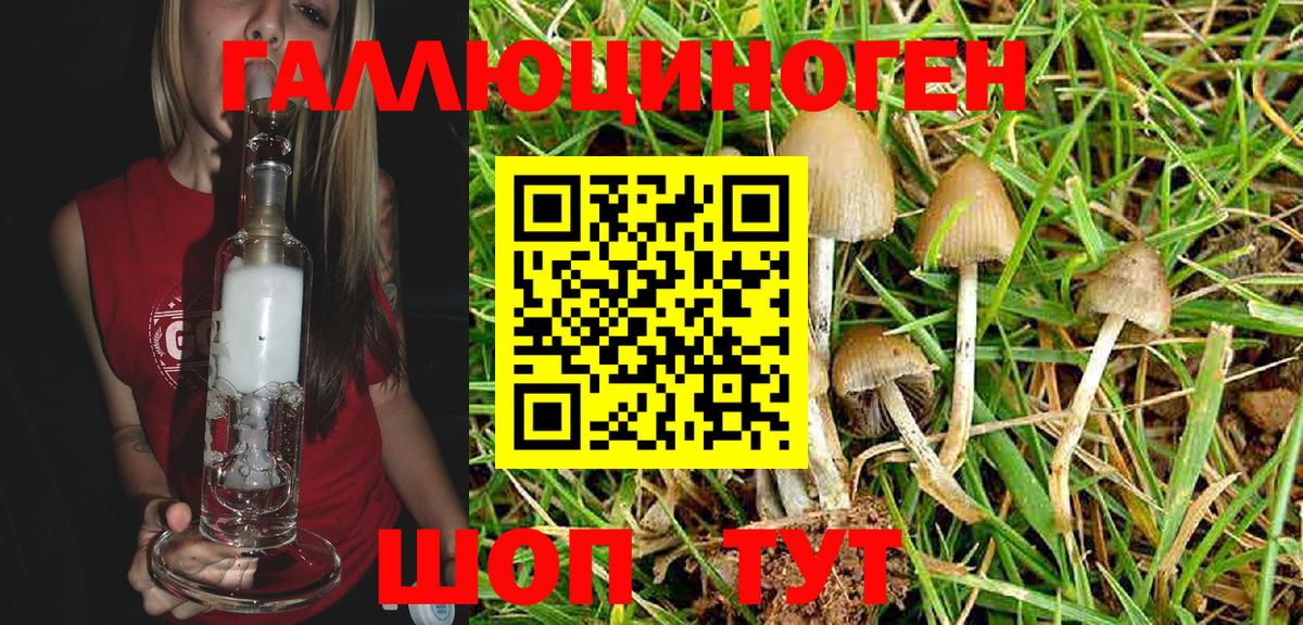 Галлюциногенные грибы Psilocybe  Вход с VPN  Холмск 