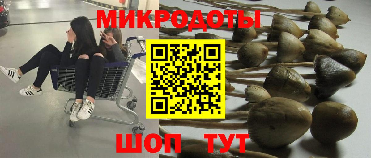 Галлюциногенные грибы мицелий Холмск